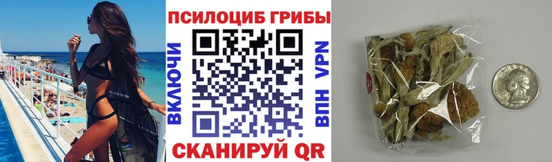 Галлюциногенные грибы Magic Shrooms  Купить  Суворов 