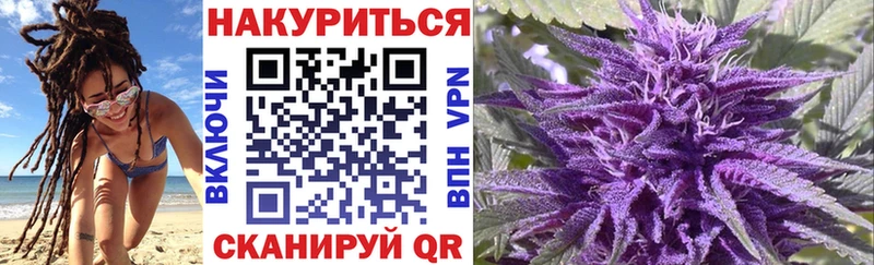 Каннабис SATIVA & INDICA Суворов