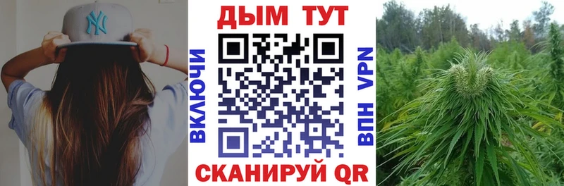 Купить  Суворов  Каннабис сатива 